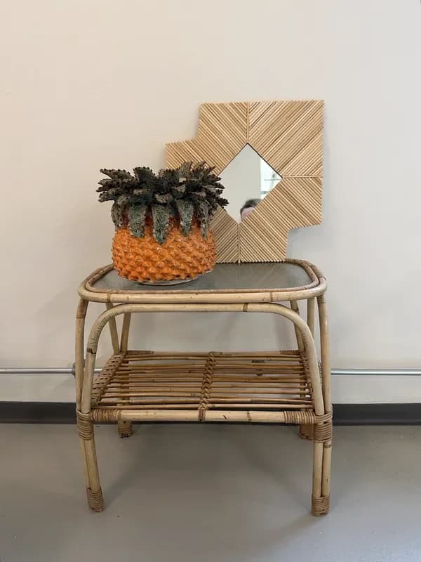 Rattan stol med plante indretning hos Lidkøb